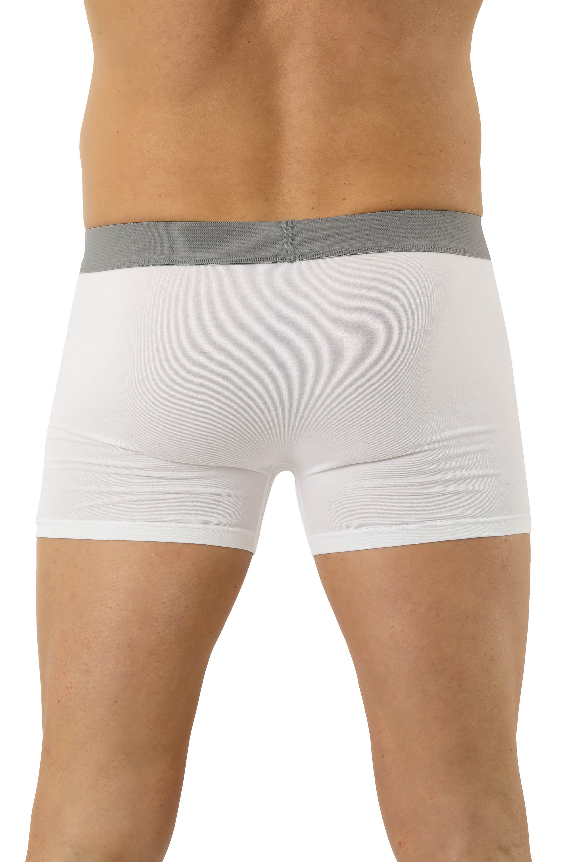 2er Pack Herren Retroshorts Micromodal weiß