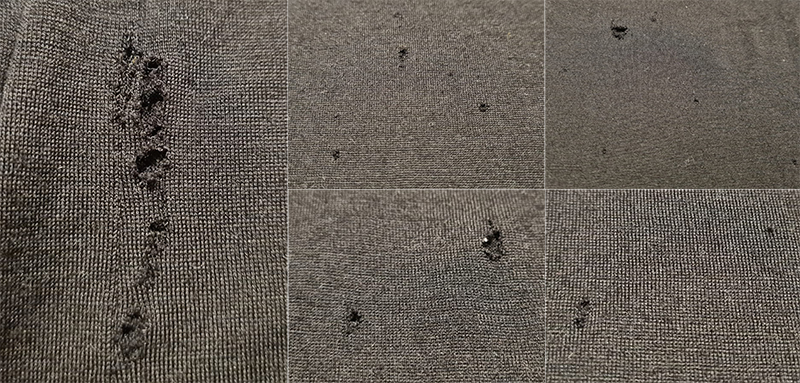 Löcher Mottenfraß Merinowolle Kleidermotten