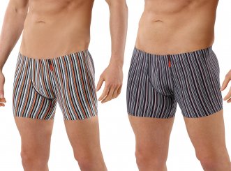 Doppelpack Herren Retroshorts gestreift Mikrofaser - zwei Farben - extra lang 