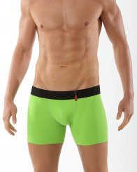 Retro Shorts Boxershorts Mikrofaser Grün 